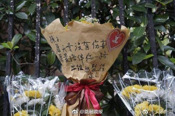 ayx官方app官方安装版