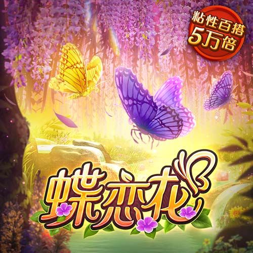 ayx官方app官网安卓版